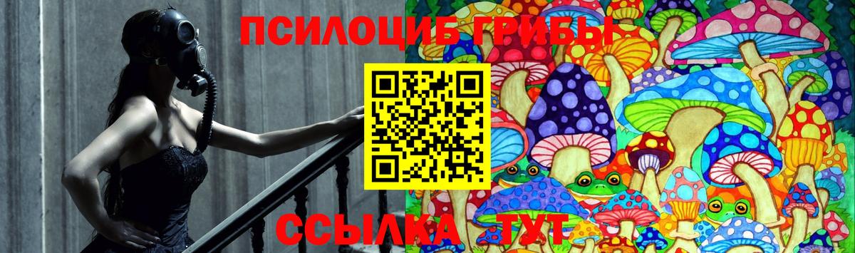 Псилоцибиновые грибы мухоморы Можайск