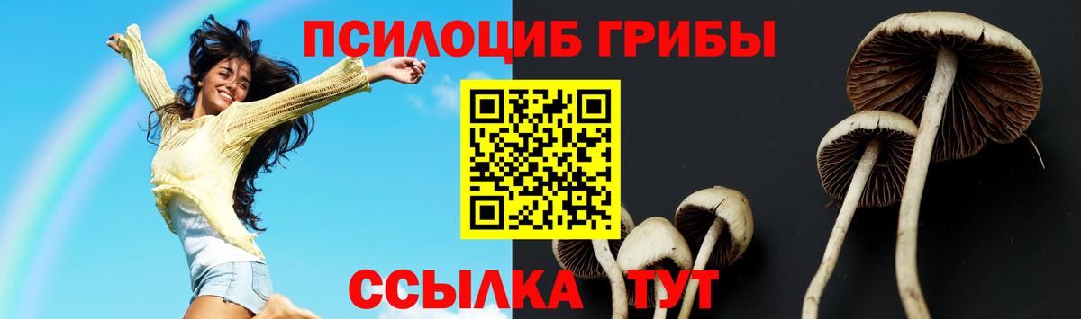 Можайск  Галлюциногенные грибы Cubensis  Вход с VPN  где можно купить   Псилоцибиновые грибы MAGIC MUSHROOMS 